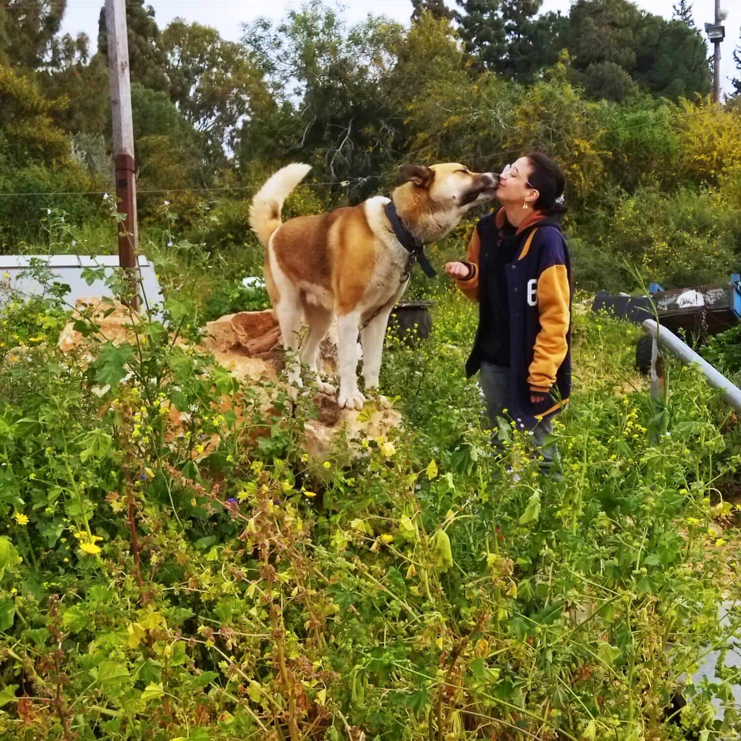 יעל כהן, אוהבת בעלי חיים